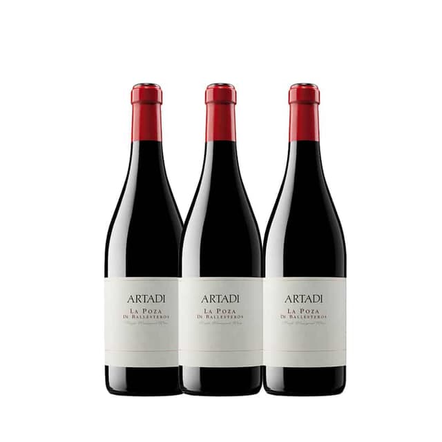 שלישיית ארטדי לה פוזה דה באללסטרוס