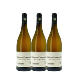 שלישיית סארל בוסו בורגון בלאן הוט דנסיטה