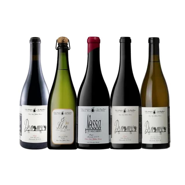 הכר את יקב פאטו