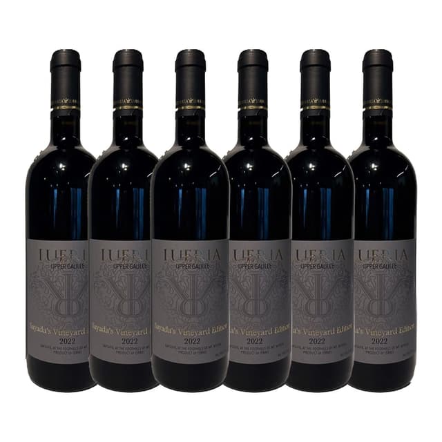 שישיית לוריא סיידא ויניארדס אדישיין