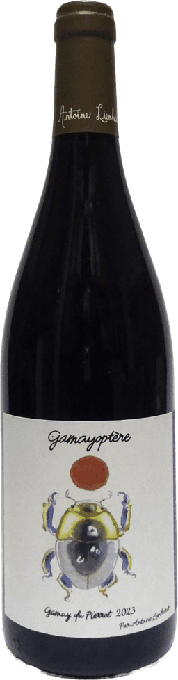 אנטואן לינארד,גמאיופטר, קוטו בורגיניון