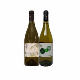 זוג לבנים של סוסון ים