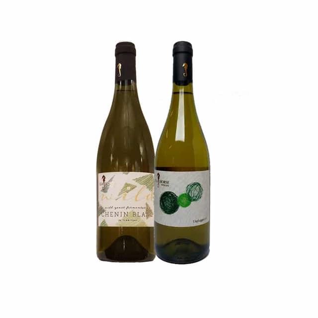 זוג לבנים של סוסון ים