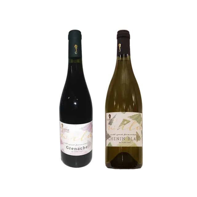 זוג פראי של סוסון ים