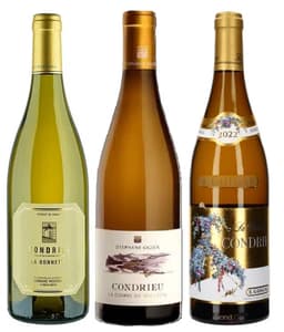 מפגש פסגה – שלישיית קונדריו: אוגייר, גיגל ורנה רוסטאנג