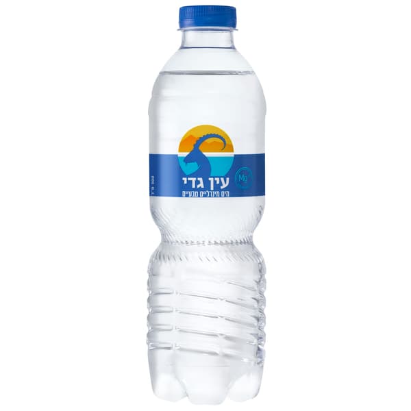 מים מינרלים עין גדי