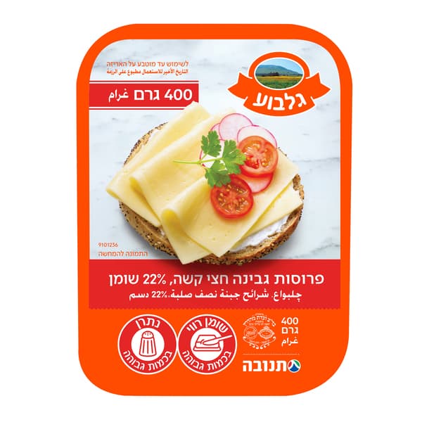 גבינת גלבוע 22%, 400 ג'
