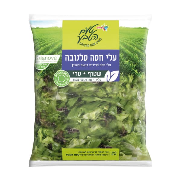 עלי סלנובה 200 גר' ש