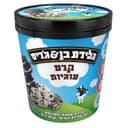 בן&גריס גלידה פיינטי