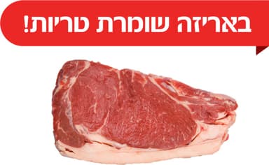 סטייק ניו יורק טרי א