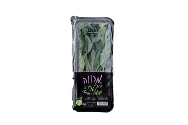 מרווה