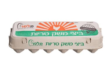 ביצים אריזון 12 גדול