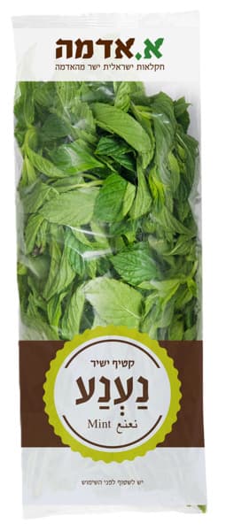 נענע יחידה