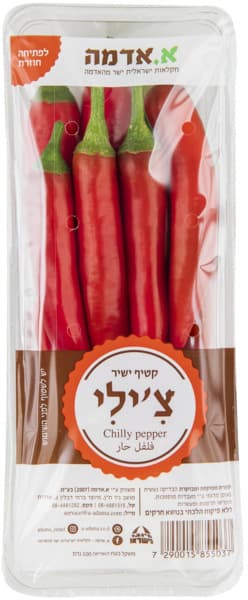 סנדוויץ גבינהצהונה צהובה