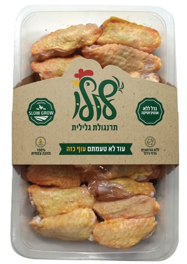 כנף פטם חצוי טרי ארו