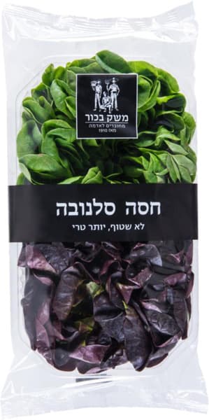 חסה סלנובה משק בכור