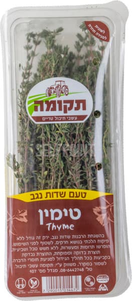 טימין