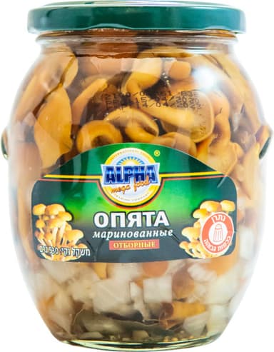 פטריות אופיאטה מוחמצ