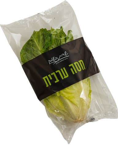 חסה ערבית בשקית שדות