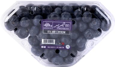 אוכמניות יבוא רוח שת