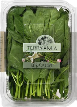בזיל