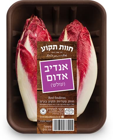 אנדיב אדום