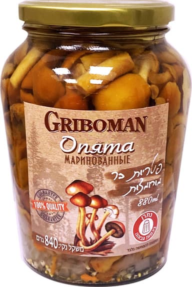 פטריות שלמות מוחמצות