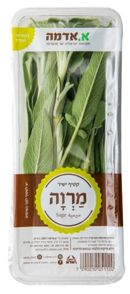 מרווה