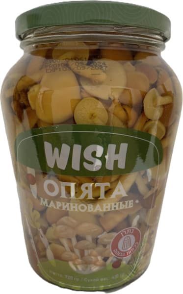 פטריות אופיאטה מוחמצ