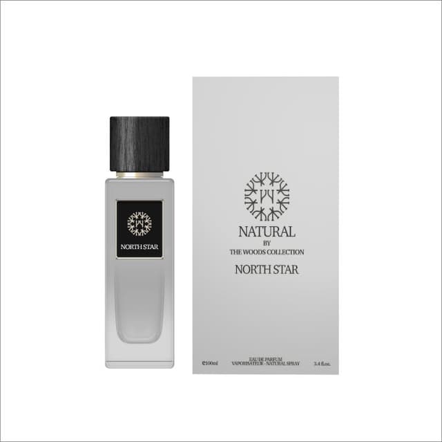 בושם לגבר דה ווד קולקשיין THE WOOD COLLECTION NORTH STAR 100 ML EDP