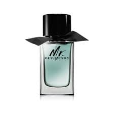 בושם לגבר ברברי טסטר BURBERRY MR BURBERRY 100 ML EDT TESTER