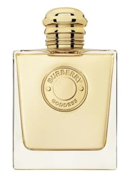 בושם לאישה ברברי אריזת טסטר BURBERRY GODDESS 100 ML EDP TESTER