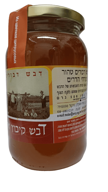 דבש פרחי הדרים 500 גרם קיבוץ ארז דבש קיבוץ ארז