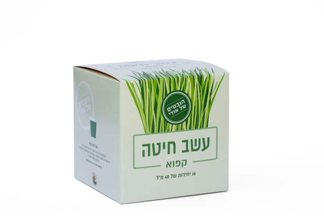 עשב חיטה קפוא 40 מ"ל