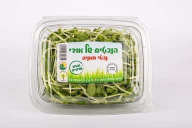 נבטי חמניה אורגני