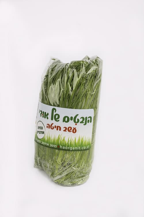 עשב חיטה אורגני