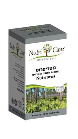 נוטריפרוס