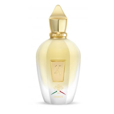 Perfumex - Xerjoff Naxos 100ml EDP - בושם יוניסקס