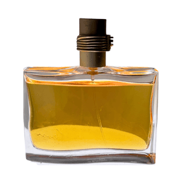 בושם לאשה - Kenzo Jungle EDP 100ml | פרפיום אקס