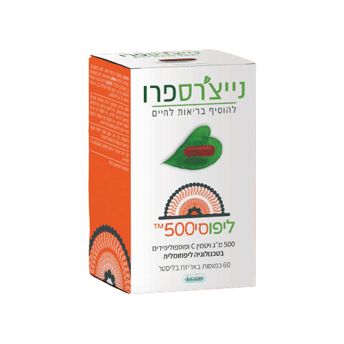 שום יבש מיני ארוז