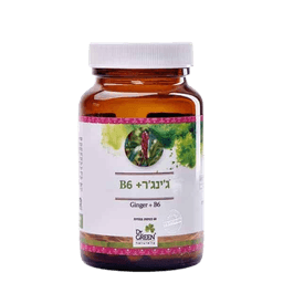 גינגר פלוס ויטמין B6 | מכיל 60 כמוסות צמחיות | תוסף תזונה | כשר פרווה |