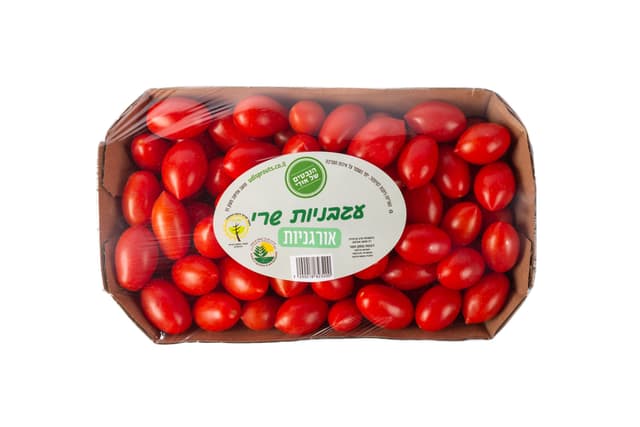 עגבניות שרי אורגניות
