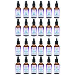 מבצע עשרים וארבע | ברזל עדין ליפוזומלי | בטעם פסיפלורה | מכיל 50 מל | סנסי טבע | Sensi Teva