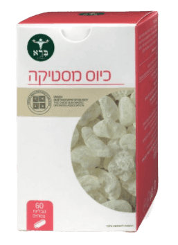 כיוס מסטיקה | מכיל 60 טבליות צמחים | תוסף תזונה | כשר | ברא צמחים | BARA