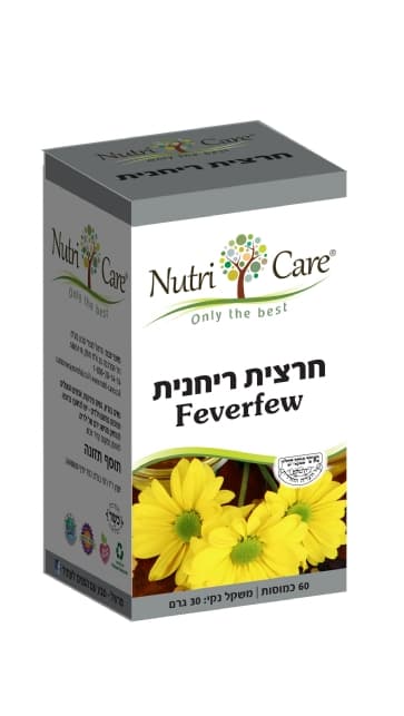 חרצית ריחנית