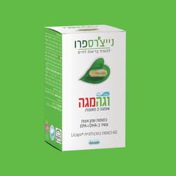 וגה מגה | Vega Mega