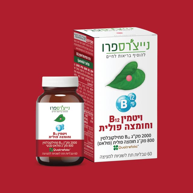 ויטמין B12 וחומצה פולית | Vitamin B12 and Folic Acid