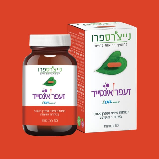זעפרן אינסייד | SafrInside