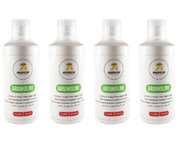 מארז רביעיה | ארגינולין | ל-ארגינין נוזלי בטעם תות | מכיל 500 מל | ארגינולין | Arginoline