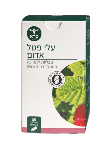 עלי פטל אדום | המיצוי השלם | מכיל 60 טבליות צמחיות | תוסף תזונה | כשר | ברא צמחים | BARA